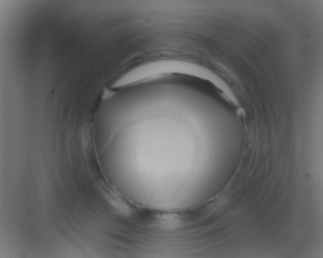 X0000081300409200702082049