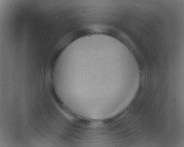 X0000081300410200702082049