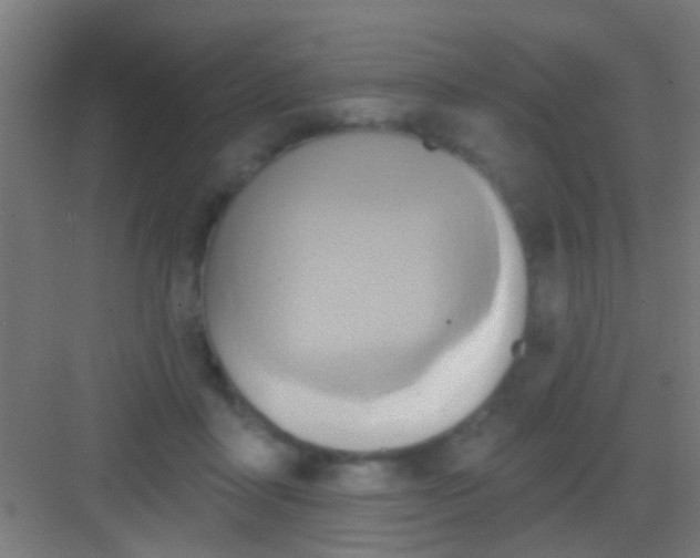 X0000081300411200702082049