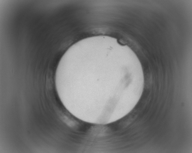 X0000081300414200702082049