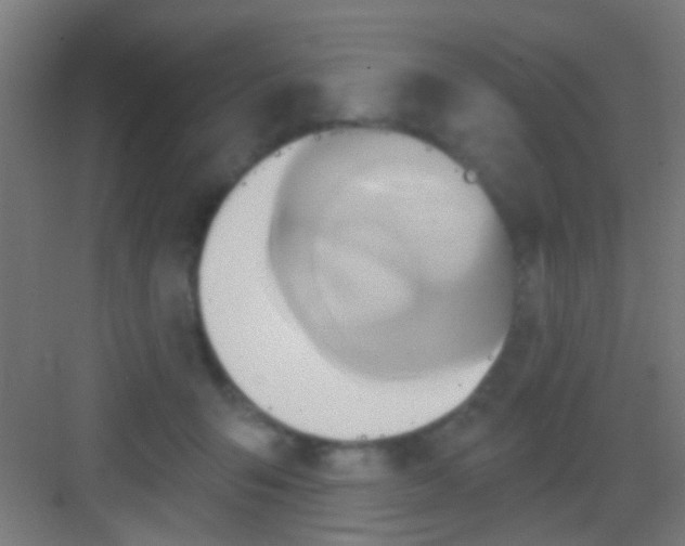 X0000081300415200702082049