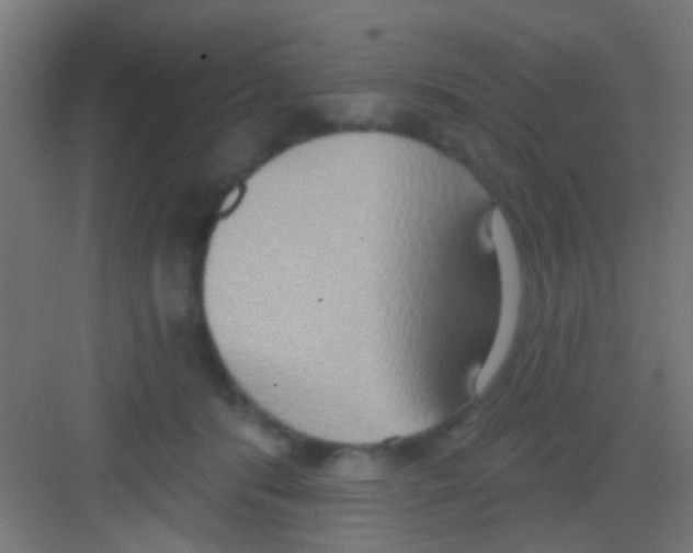 X0000081300416200702082049