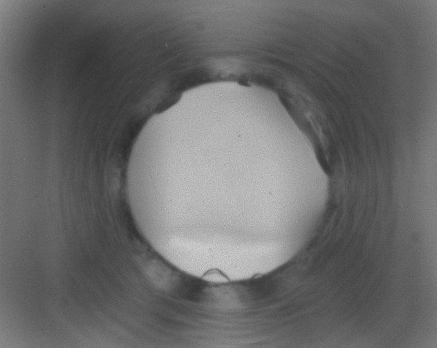 X0000081300417200702082049