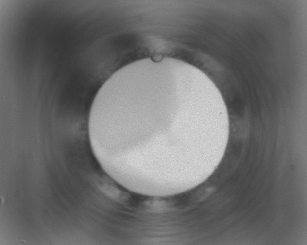 X0000081300419200702082049