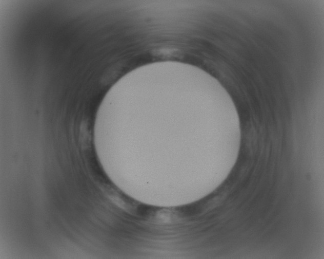 X0000081300420200702082049