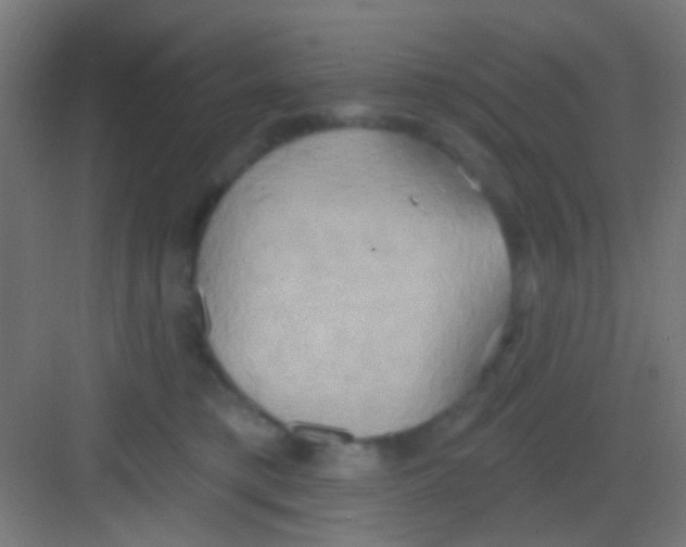 X0000081300421200702082049