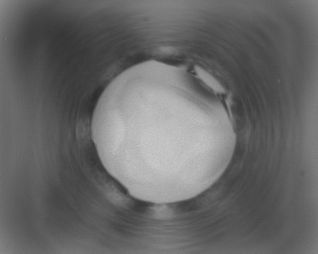 X0000081300425200702082049