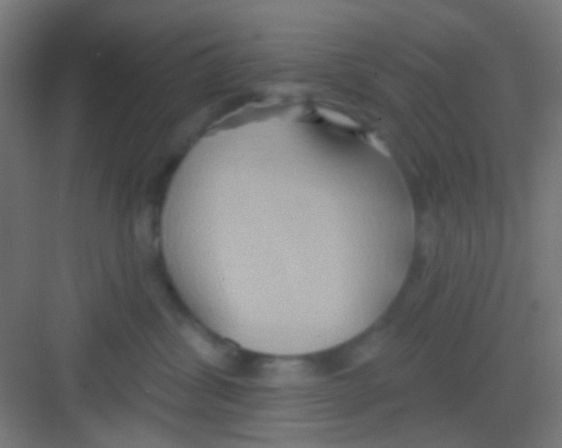 X0000081300428200702082049