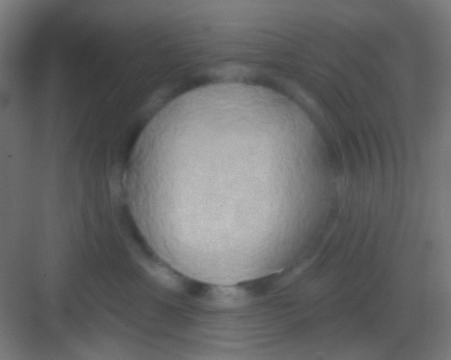 X0000081300429200702082049