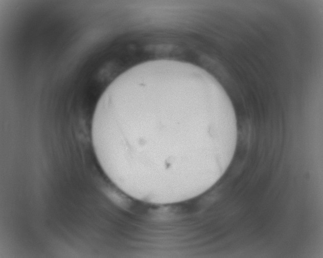 X0000081300430200702082049