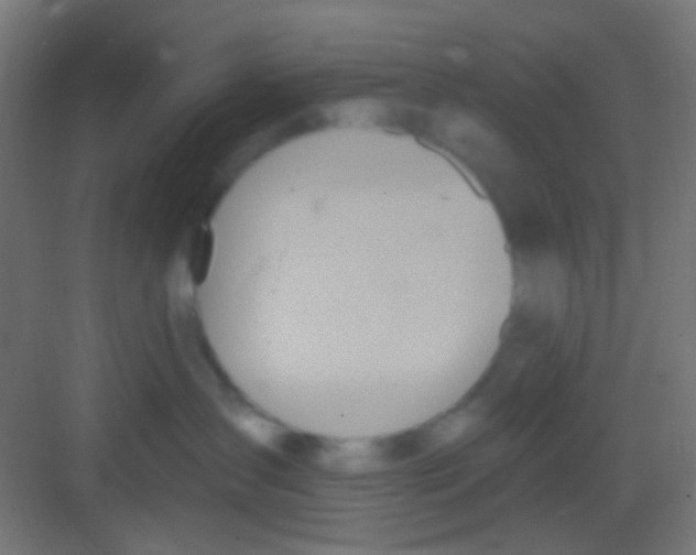 X0000081300431200702082049