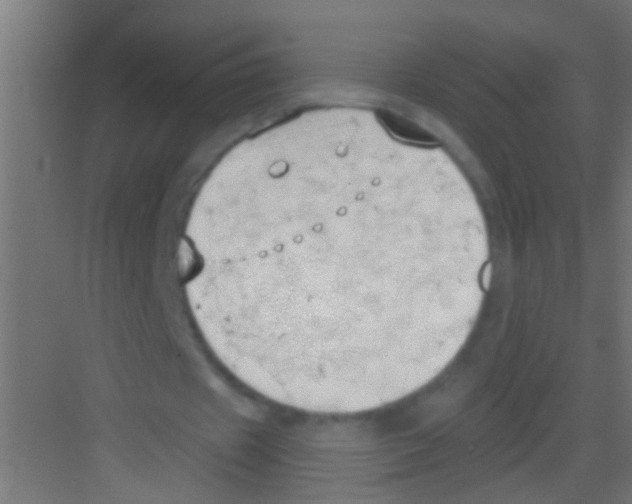 X0000081300433200702082048