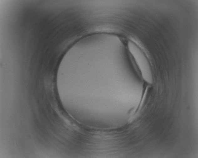 X0000081300434200702082048