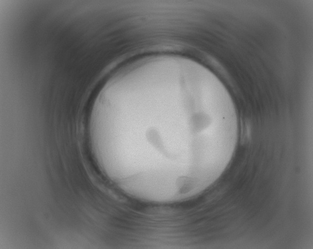 X0000081300435200702082048