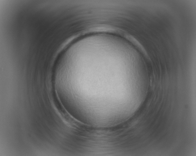 X0000081300436200702082048