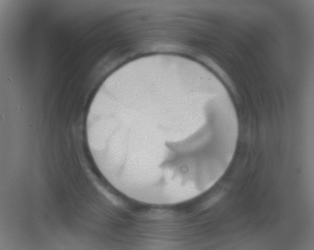 X0000081300437200702082048