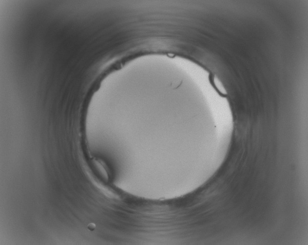 X0000081300438200702082048