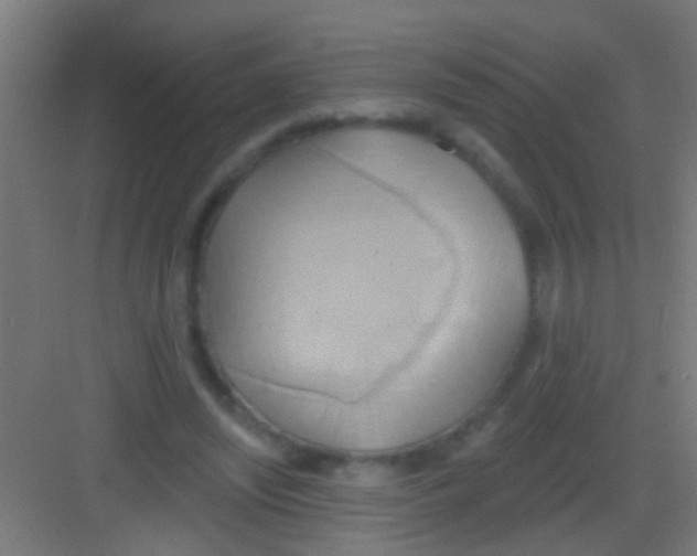 X0000081300444200702082048