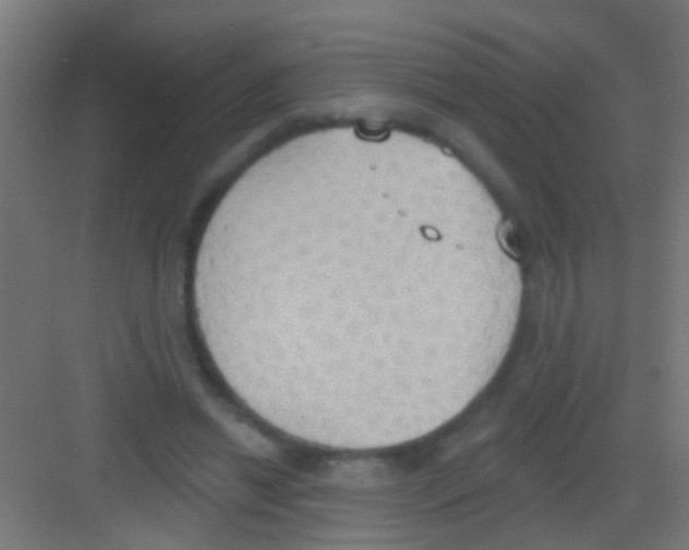 X0000081300446200702082048