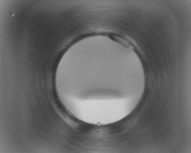 X0000081300447200702082048