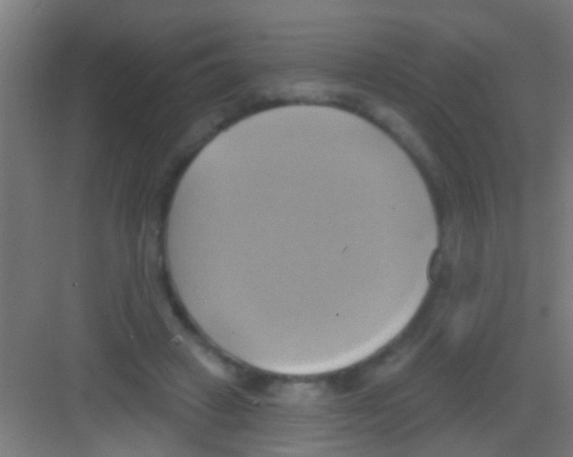 X0000081300449200702082048