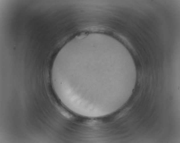 X0000081300453200702082049