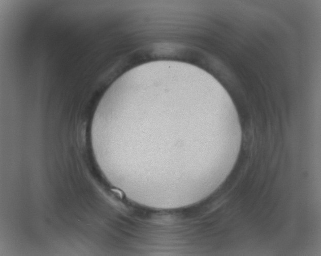 X0000081300454200702082049