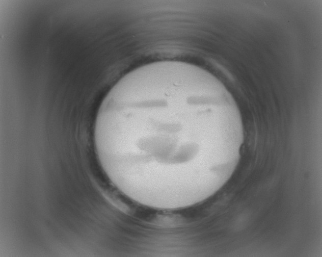 X0000081300455200702082049