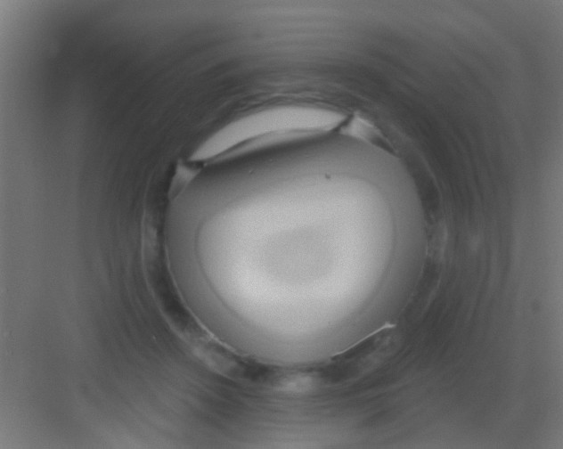 X0000081300456200702082049