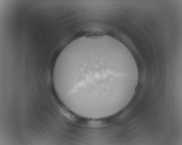 X0000081300457200702082049