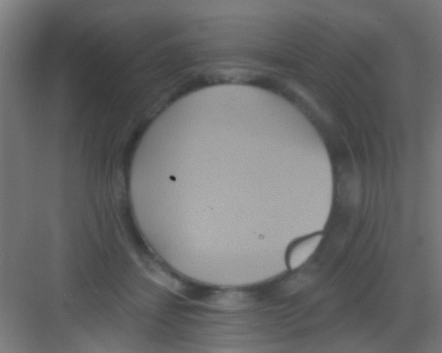 X0000081300459200702082049