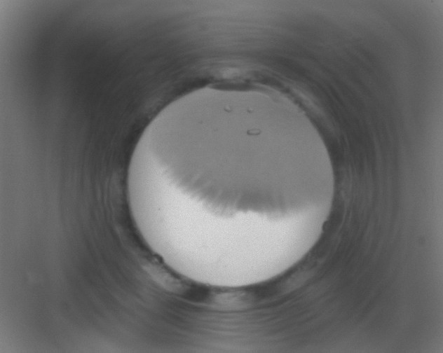 X0000081300461200702082049