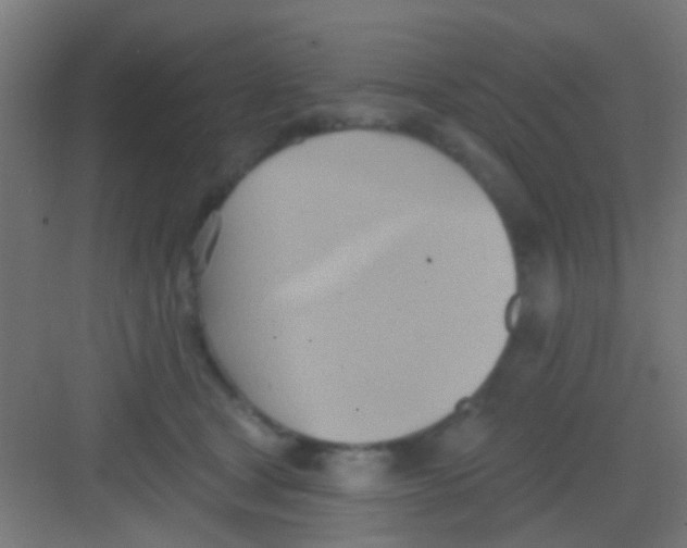 X0000081300465200702082049