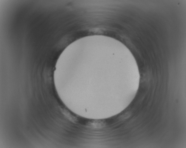 X0000081300466200702082049