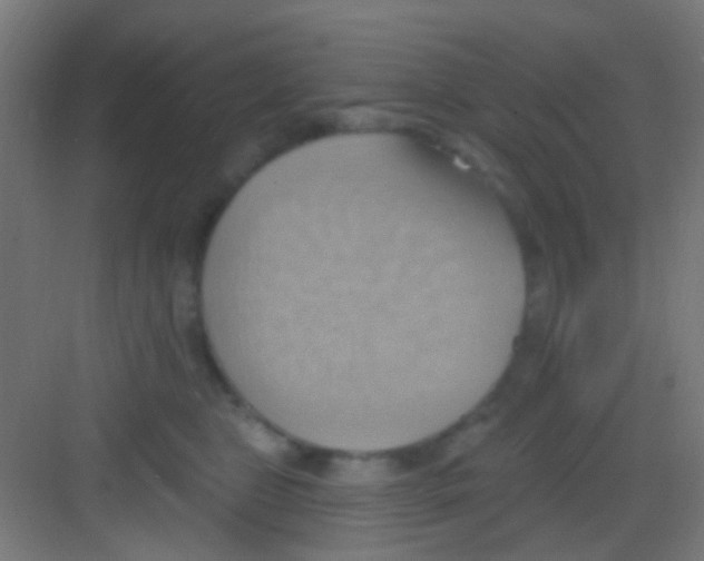 X0000081300469200702082049