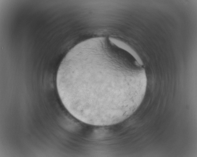 X0000081300470200702082049