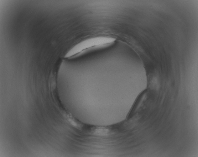 X0000081300471200702082049