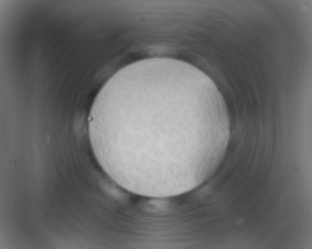 X0000081300478200702082049