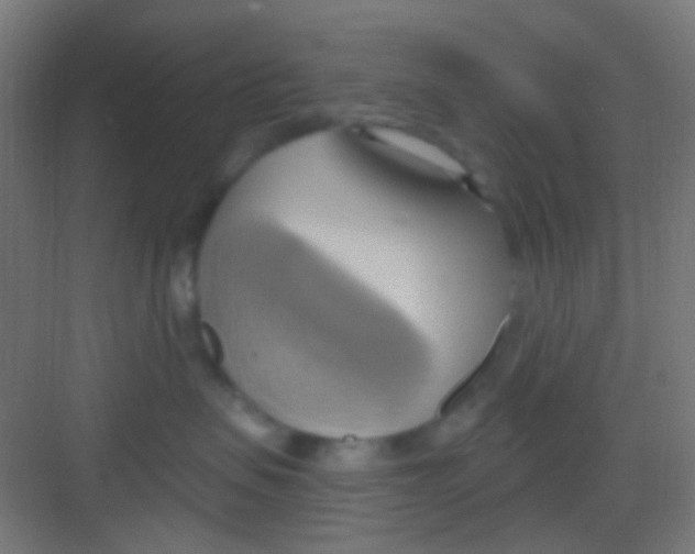 X0000081300479200702082049