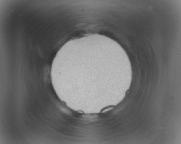 X0000081300480200702082049