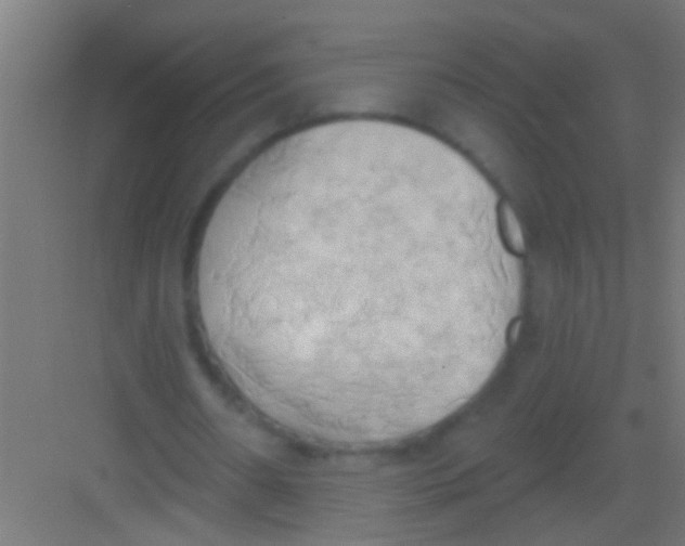 X0000081300482200702082048