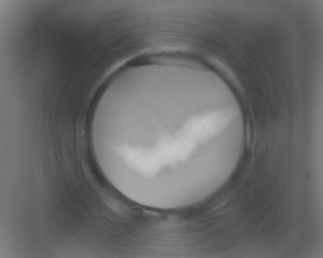 X0000081300483200702082048