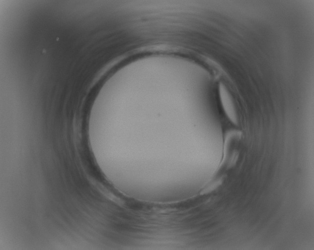 X0000081300484200702082048