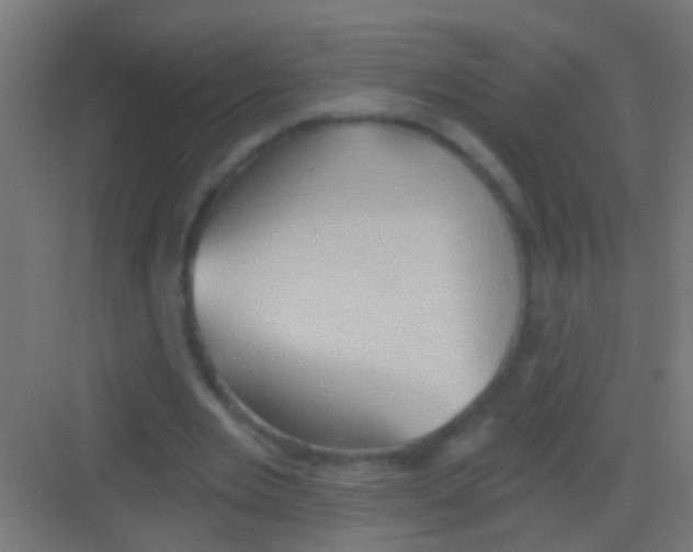 X0000081300485200702082048