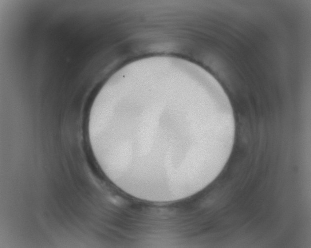 X0000081300486200702082048