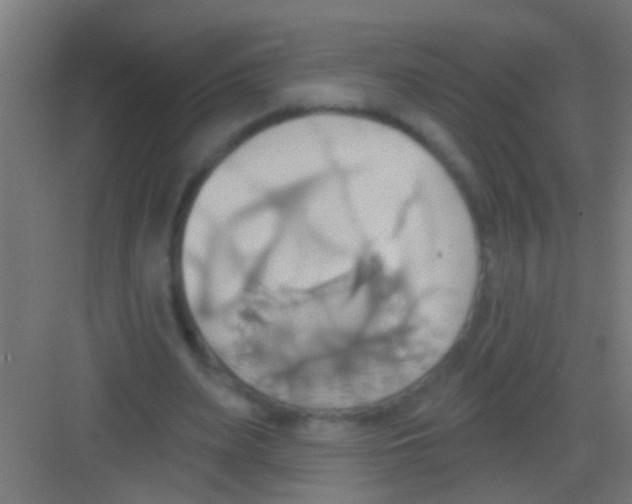 X0000081300487200702082048