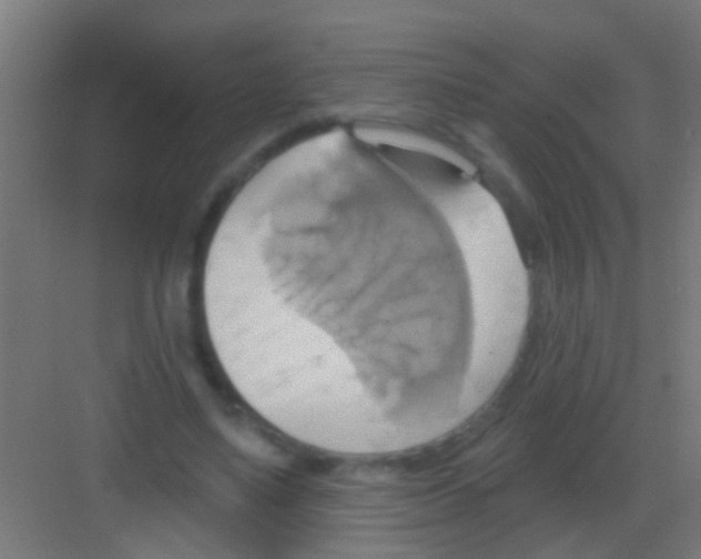 X0000081300491200702082048