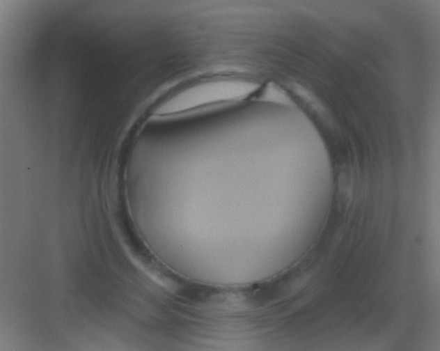 X0000081300492200702082048