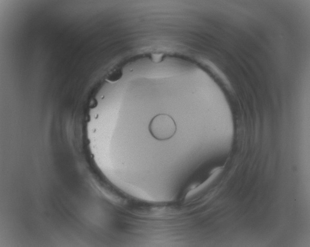 X0000081300493200702082048