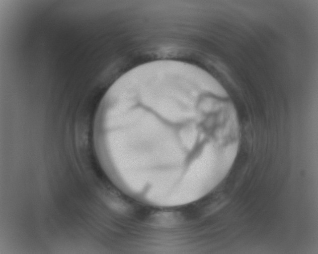 X0000081300499200702082048